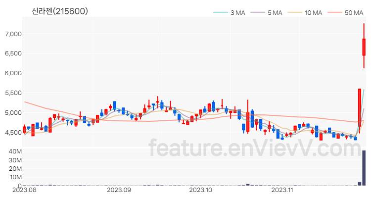 [특징주 분석] 신라젠 주가 차트 (2023.11.28)