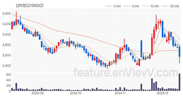 [특징주] 신라젠 주가와 차트 분석 2024.12.12