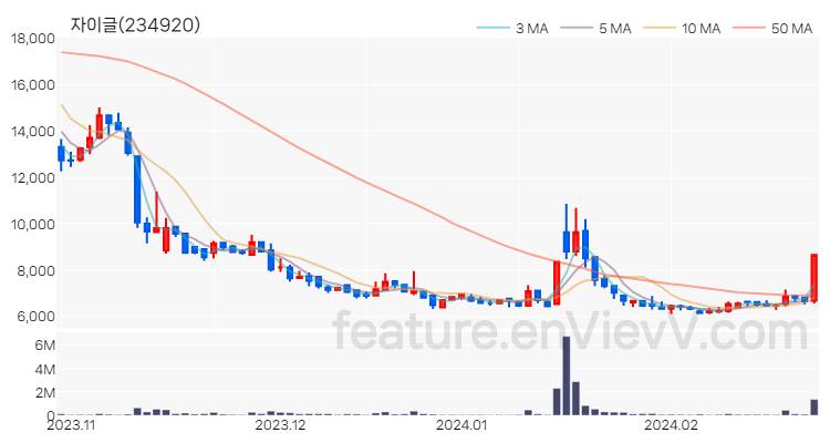 [특징주] 자이글 주가와 차트 분석 2024.02.26