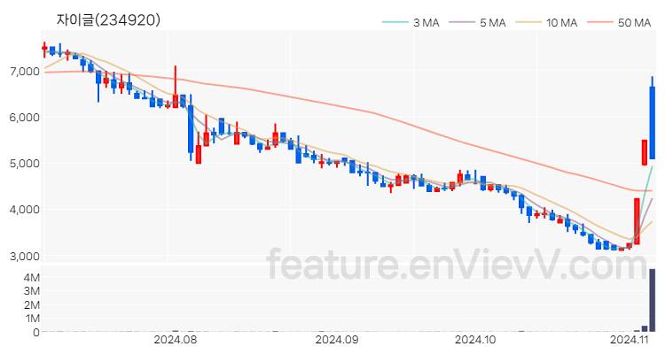 [특징주] 자이글 주가와 차트 분석 2024.11.06