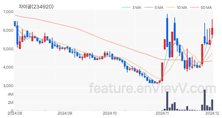 [특징주] 자이글 주가와 차트 분석 2024.12.02