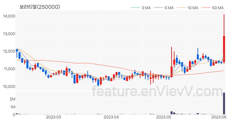 [특징주 분석] 보라티알 주가 차트 (2023.06.07)