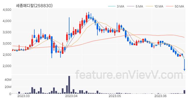 [특징주 분석] 세종메디칼 주가 차트 (2023.06.20)