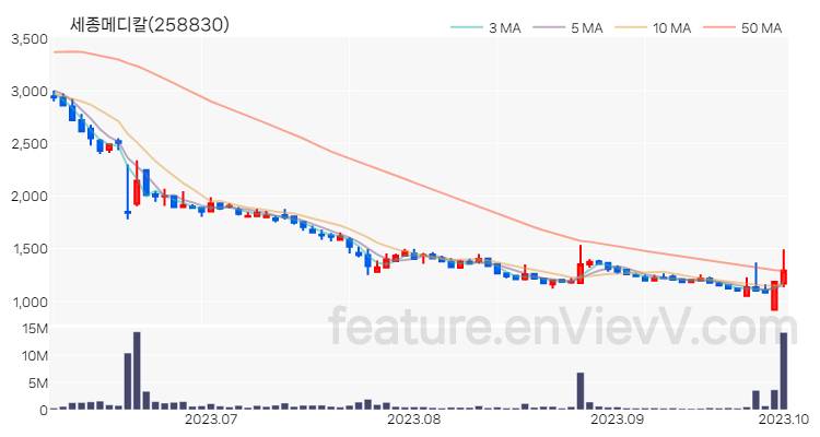 [특징주] 세종메디칼 주가와 차트 분석 2023.10.04