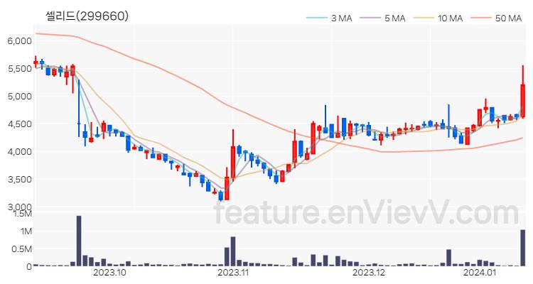[특징주 분석] 셀리드 주가 차트 (2024.01.11)