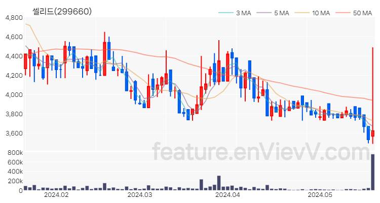 [특징주] 셀리드 주가와 차트 분석 2024.05.22