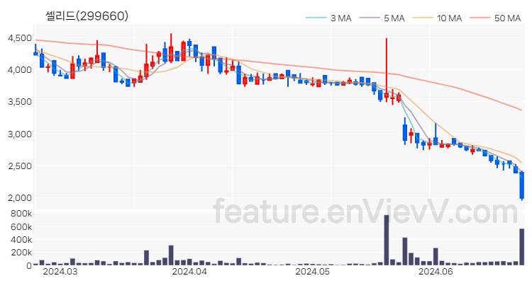 [특징주 분석] 셀리드 주가 차트 (2024.06.24)