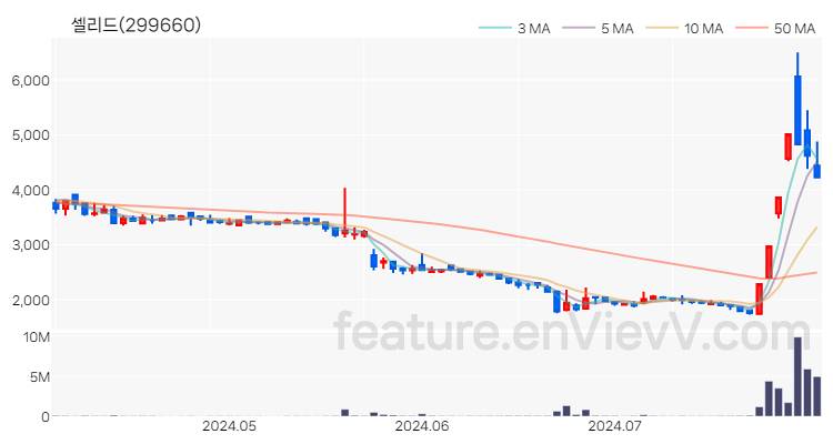 [특징주 분석] 셀리드 주가 차트 (2024.07.31)
