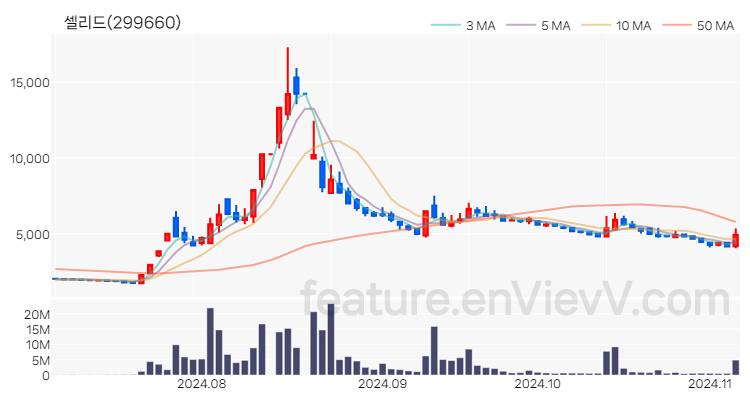 [특징주] 셀리드 주가와 차트 분석 2024.11.06