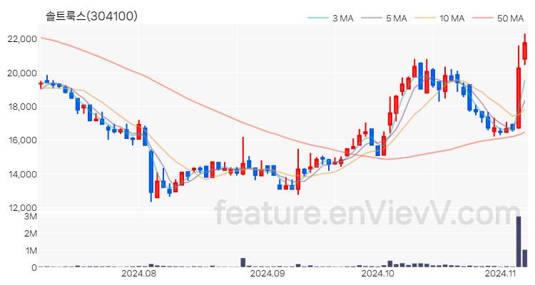 [특징주] 솔트룩스 주가와 차트 분석 2024.11.07