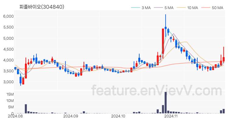 [특징주] 피플바이오 주가와 차트 분석 2024.11.29