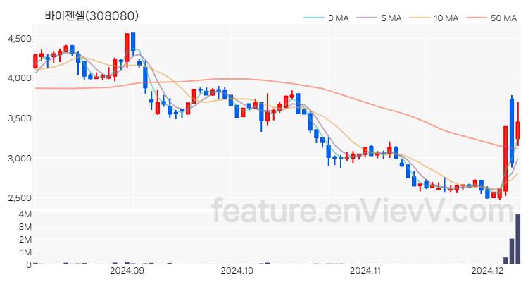 [특징주] 바이젠셀 주가와 차트 분석 2024.12.09