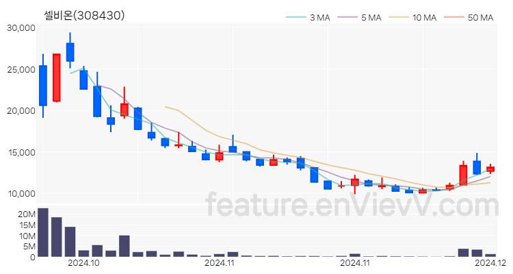 [특징주] 셀비온 주가와 차트 분석 2024.12.02