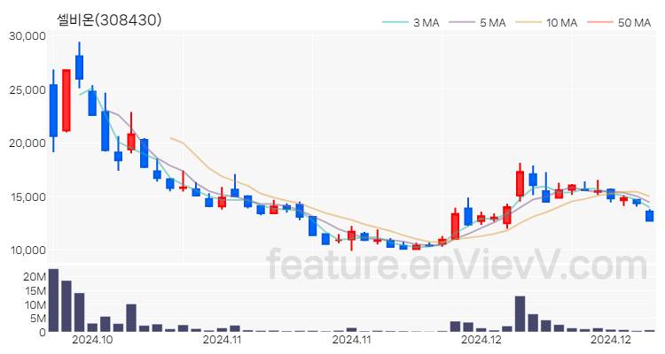 [특징주] 셀비온 주가와 차트 분석 2024.12.19