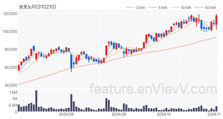 [특징주] 보로노이 주가와 차트 분석 2024.11.04