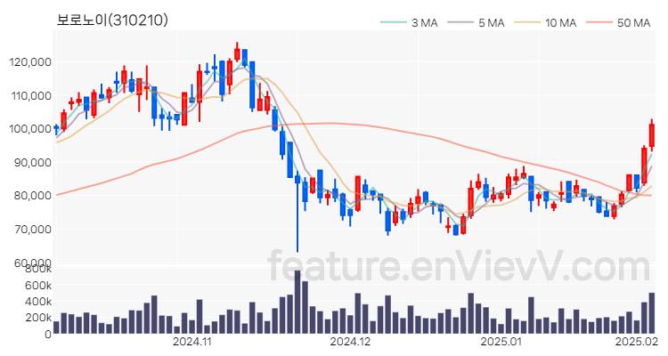 [특징주] 보로노이 주가와 차트 분석 2025.02.05