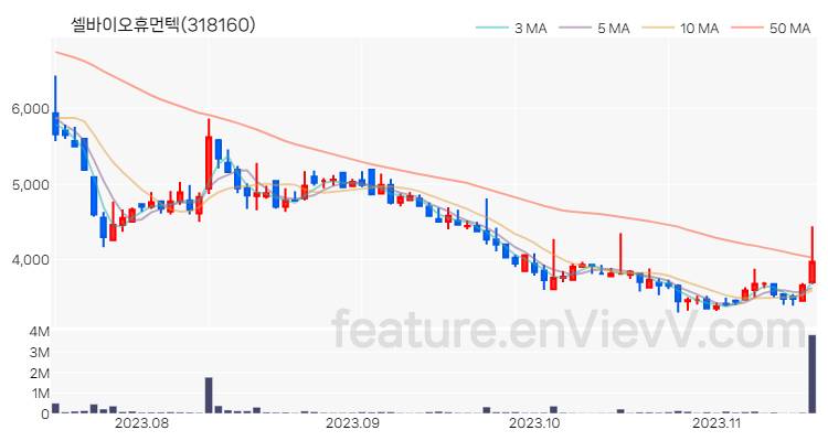 [특징주 분석] 셀바이오휴먼텍 주가 차트 (2023.11.15)