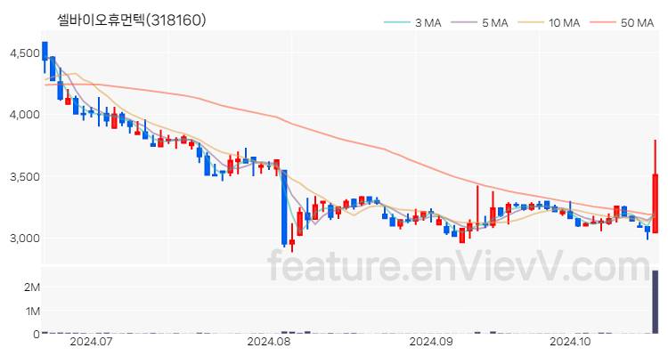 [특징주 분석] 셀바이오휴먼텍 주가 차트 (2024.10.21)