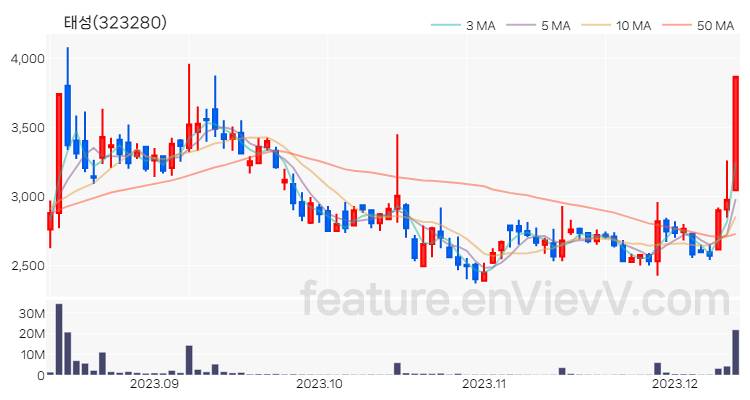 [특징주 분석] 태성 주가 차트 (2023.12.12)