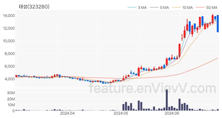 [특징주] 태성 주가와 차트 분석 2024.06.28