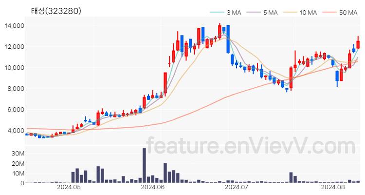 [특징주 분석] 태성 주가 차트 (2024.08.12)