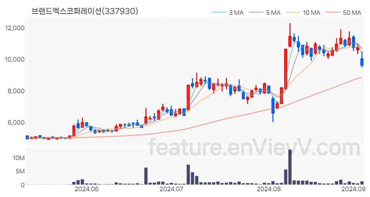 [특징주 분석] 브랜드엑스코퍼레이션 주가 차트 (2024.09.04)