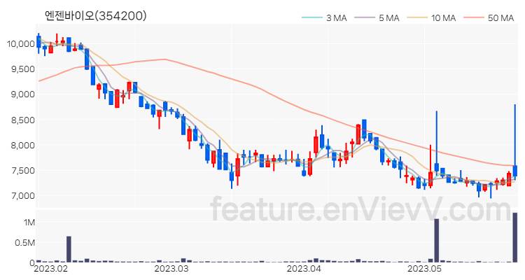 [특징주 분석] 엔젠바이오 주가 차트 (2023.05.24)