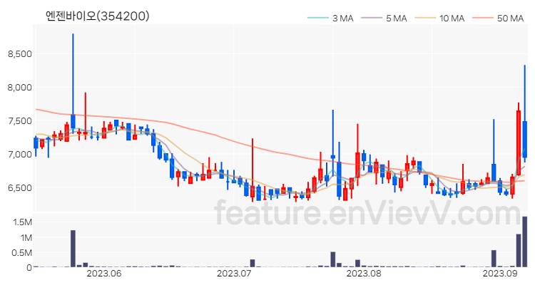 [특징주 분석] 엔젠바이오 주가 차트 (2023.09.07)