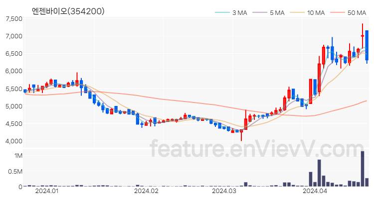 [특징주 분석] 엔젠바이오 주가 차트 (2024.04.19)