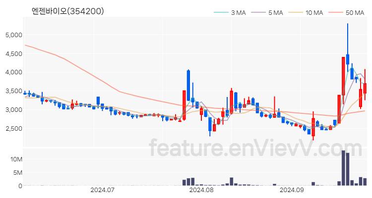 [특징주 분석] 엔젠바이오 주가 차트 (2024.09.30)