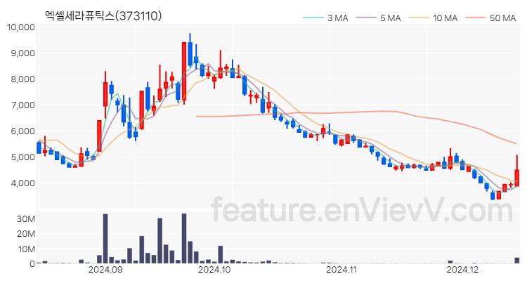 [특징주] 엑셀세라퓨틱스 주가와 차트 분석 2024.12.13