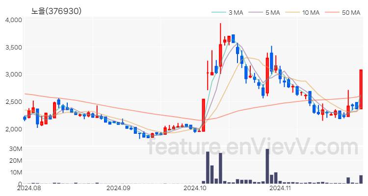 [특징주] 노을 주가와 차트 분석 2024.11.28
