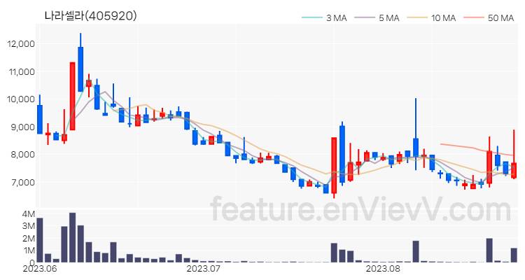 [특징주 분석] 나라셀라 주가 차트 (2023.08.25)