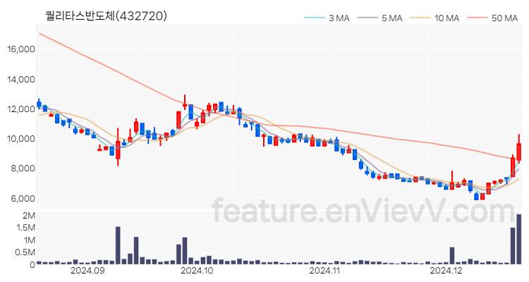 [특징주] 퀄리타스반도체 주가와 차트 분석 2024.12.18