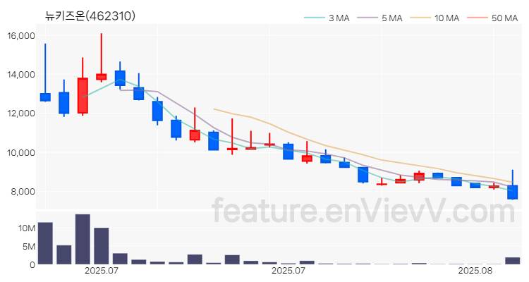 [특징주 분석] 뉴키즈온 주가 차트 (2025.08.13)